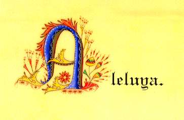 aLeLuYa
